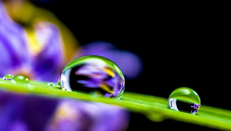 Mental Clarity Practices